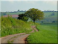 Farm track and footpath