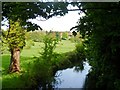 River Beane seen from road bridge