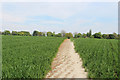 Footpath towards Blackacre Cottage