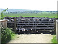 TQ3317 : Cattle on the path, near Burgess Hill by Malc McDonald