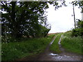 Footpath to Potash Lane