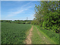 Footpath near Cust Hall, Toppesfield