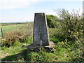 Ordnance Survey Trig Pillar S6336