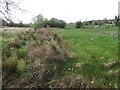 Curraghamulkin Townland