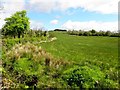 Cornavarrow Townland