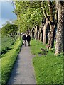 The Dee Walk at Kirkcudbright