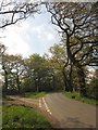 Junction near top of Northcote Hill