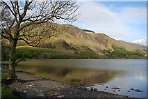 NY1716 : Lake Shore, High Bank and Snockrigg by Anne Burgess