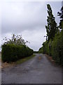 TM1337 : Footpath to the A137 by Geographer