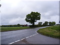 TM1236 : A137 looking towards Ipswich by Geographer