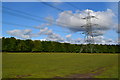 Power lines on edge of Dibden Inclosure