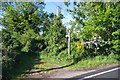 Footpath to Canewdon