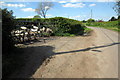 Barn Farm gate on Babelake Street