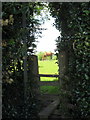 Footpath through the hedge