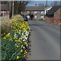 Church Street in Swepstone