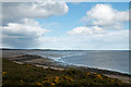 NH7486 : Dornoch Firth, north shore by Trevor Littlewood