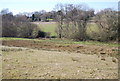 Darwell Stream Valley