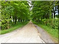 Rockbourne, farm access road