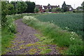 Footpath to Meppershall