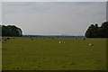 Pratts Bottom: view towards London from Norsted Manor