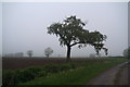 The bridleway to Muckton from Legbourne Wood