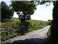 Sheep-filled field next to road south from Watching Place