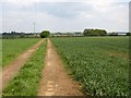 SP4443 : Farm track east of Hanwell by David P Howard
