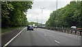 TQ6095 : A leafy section of the A12 by Julian P Guffogg