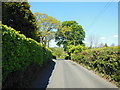 The B3357, Mount Tavy Road at Sunny Mount