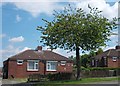 Small dwellings on Morthen Road, Wickersley