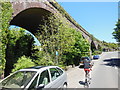 The viaduct at Bittaford