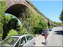 SX6656 : The viaduct at Bittaford by Ian S