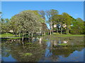 Lakescene, Seaton Park, Aberdeen