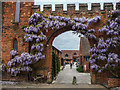 TL2308 : Wisteria Arch, Hatfield House, Hertfordshire by Christine Matthews