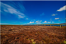 HY2913 : Ring of Brodgar by Andy Farrington