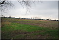 Farmland by  Richborough Rd