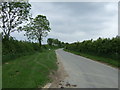 Lane towards Thimbleby