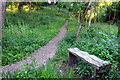 Bench by the path above the Grand Union