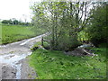 Rural lane and stream