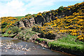 Quarry by the Bervie Water