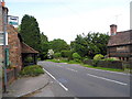 Petworth Road, Haslemere