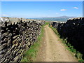 Walled Track near Routster