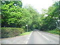 Petworth Road east of Haslemere