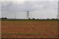 East Devon : Ploughed Field