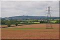 East Devon : Countryside Scenery