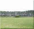 Farmland, Sleaford North Junction