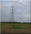 Farmland and pylons