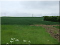 TF4065 : Farmland, Spilsby by JThomas