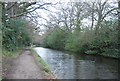 Basingstoke Canal