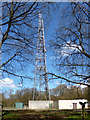 Mast at Christmas Common